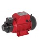 Pompa de suprafata pentru apa curata 370 W Raider Power Tools